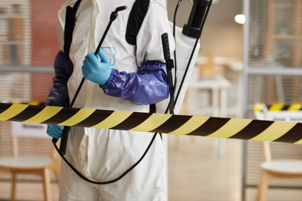 Professional Sewage Cleanup technician working in Granger, WA